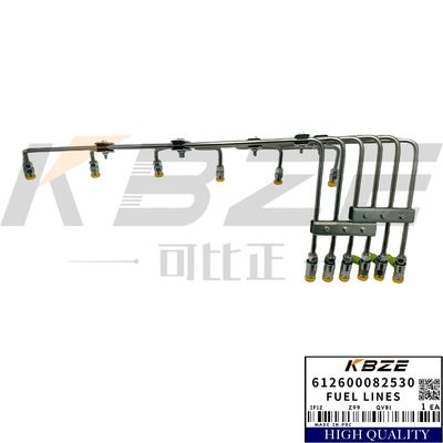 WEICHAI WD615 W618 WD10 WD12 WP10 WP12